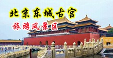 男女破处自拍视频中国北京-东城古宫旅游风景区